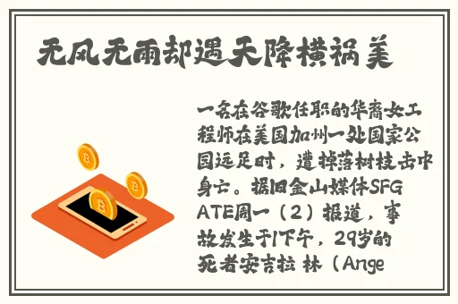 天天影视网网**欲